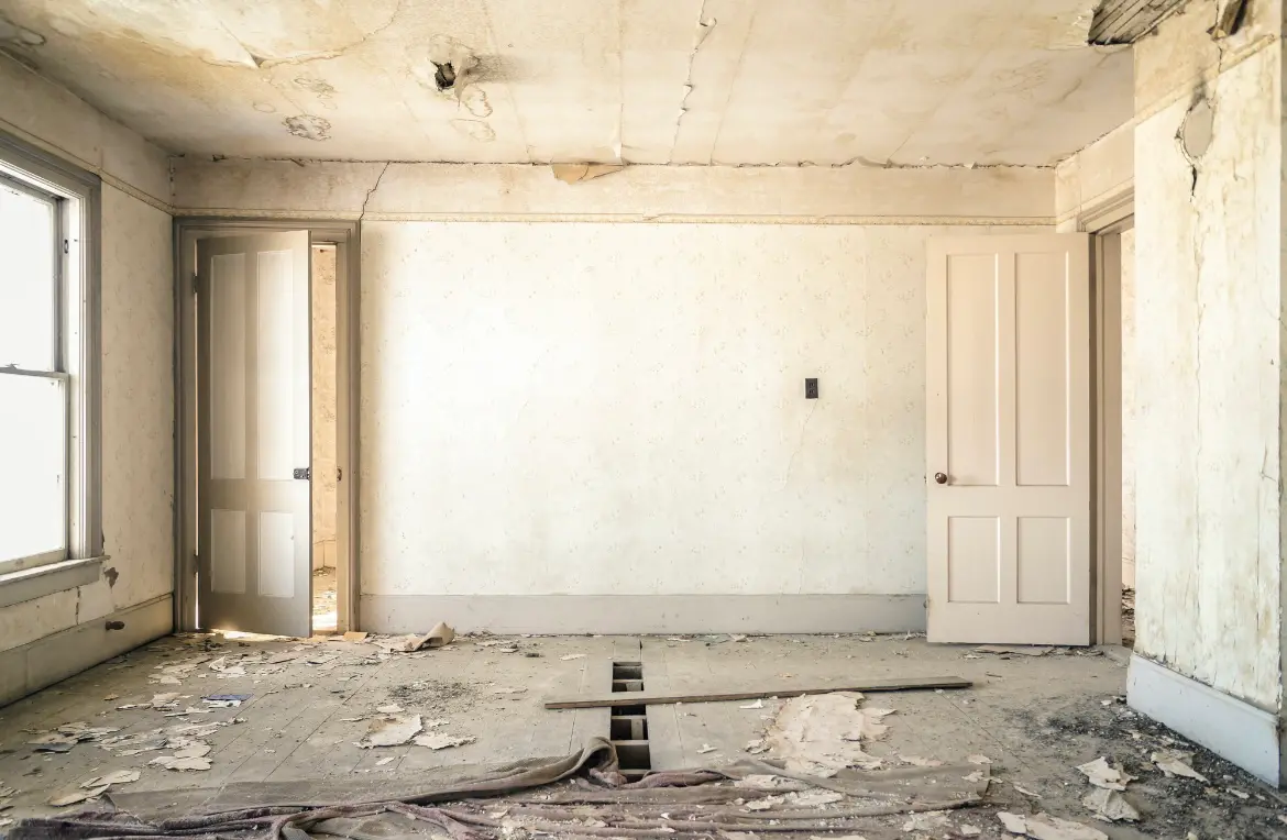 Waste disposal crew managing a cleanout project in Steger